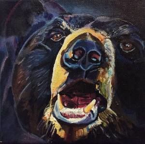 Meet your Posher, Justine